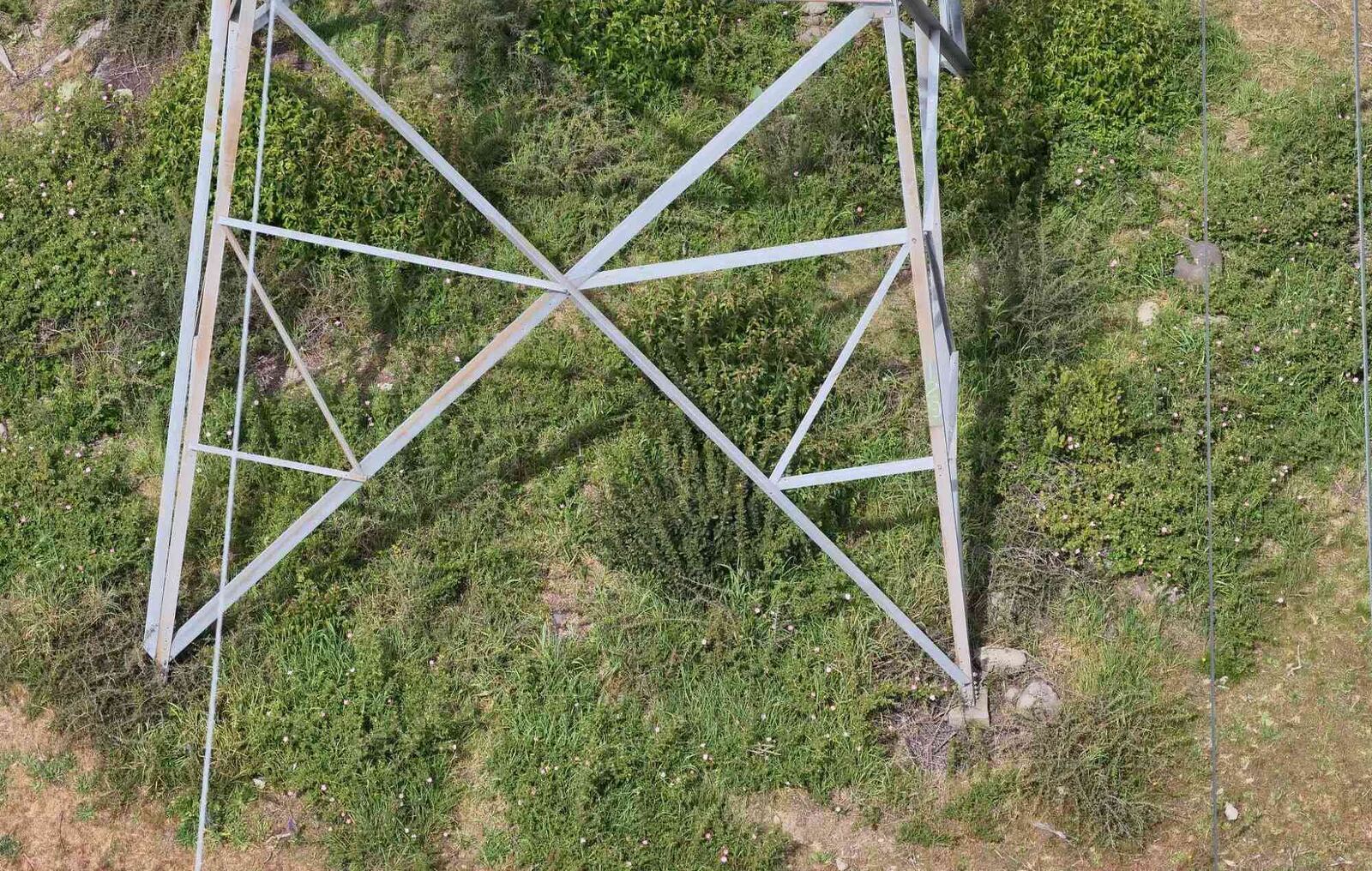 Base de torre de transmisión cubierta por vegetación de la franja de servidumbre